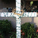 "Faith Over Fear"  ..  day light shot ,   (with the Crown of Thorns for the Easter Season)  see info