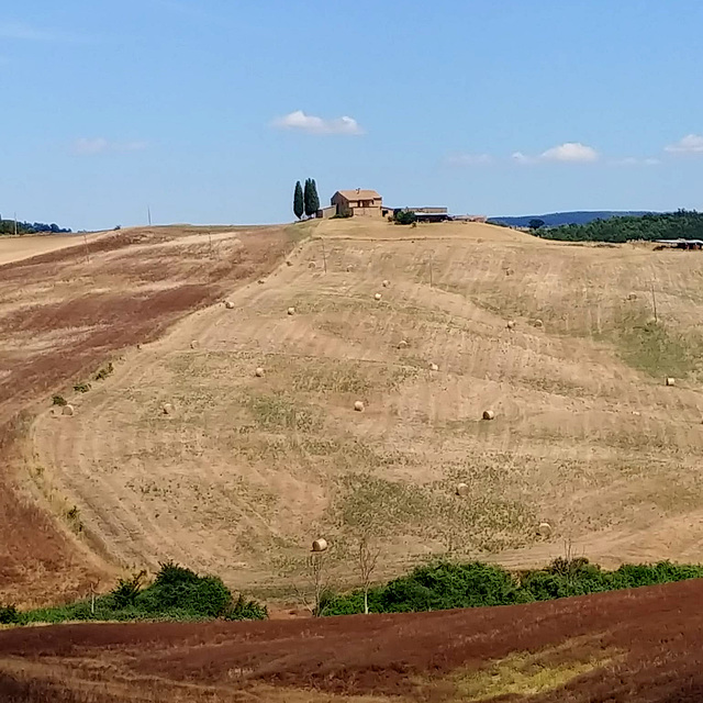 The house on the hill.