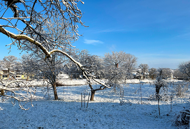 Winter in Bachem