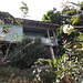 Balcon sur végétation / Balcony above vegetation