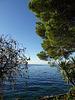 Blick über den Genfersee von Montreux