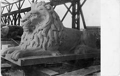 4983. [Carved Lion for Vancouver Courthouse Steps]