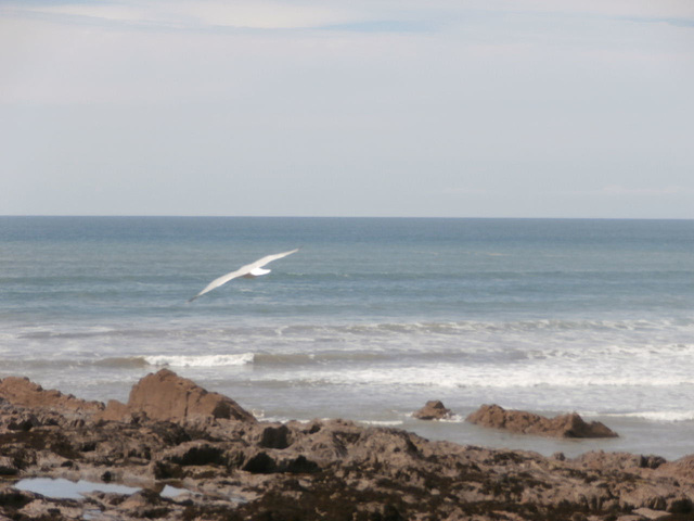 The sea was quite calm