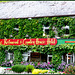 3-P1000613 - Pano - mb - Ireland - Healeys Restaurant has been gone by Fire - Ireland