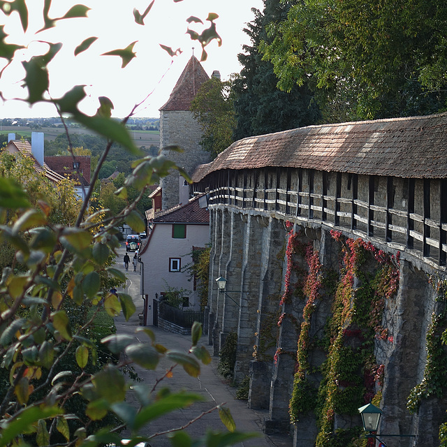 Mal wieder : Herbst