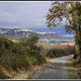 Sierra de Toloño o de Cantabria Sierra de Toloño o de Cantabria
