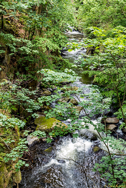 Blick von der Teufelsbrücke in den Bodekessel