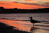 Abendstimmung in Port Denison Marina