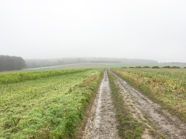 -weg 0982