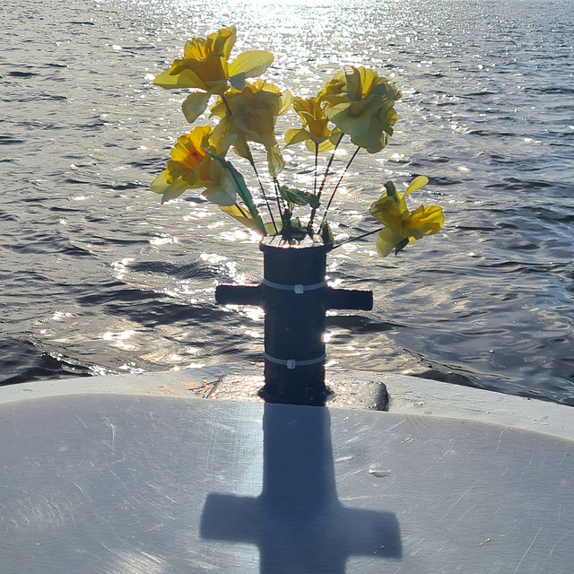 Daffodils on Daffodil