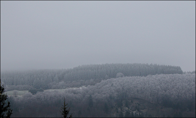 hiver 2016 - brouillard