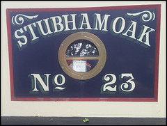 Stubham Oak No.23