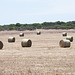 Hay bails In the sun