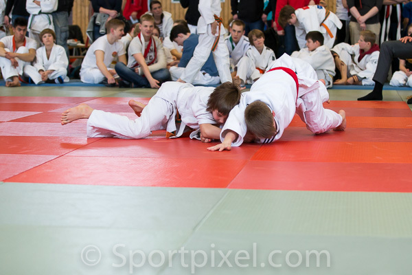 oster-judo-1309 16962077917 o