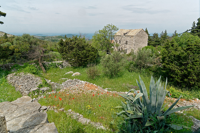 Maison abandonnée à Brusje (8)