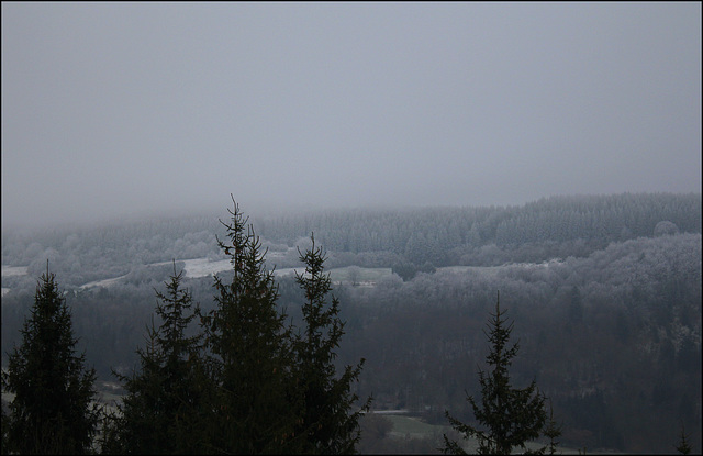 hiver 2016- brouillard hivernal
