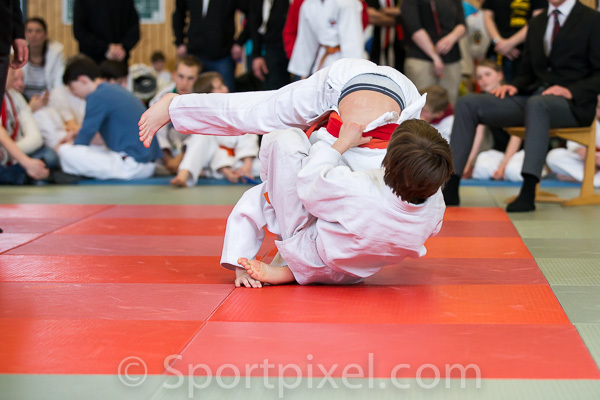 oster-judo-1310 16962077687 o