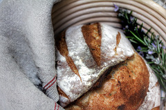 potato & rosemary bread 47