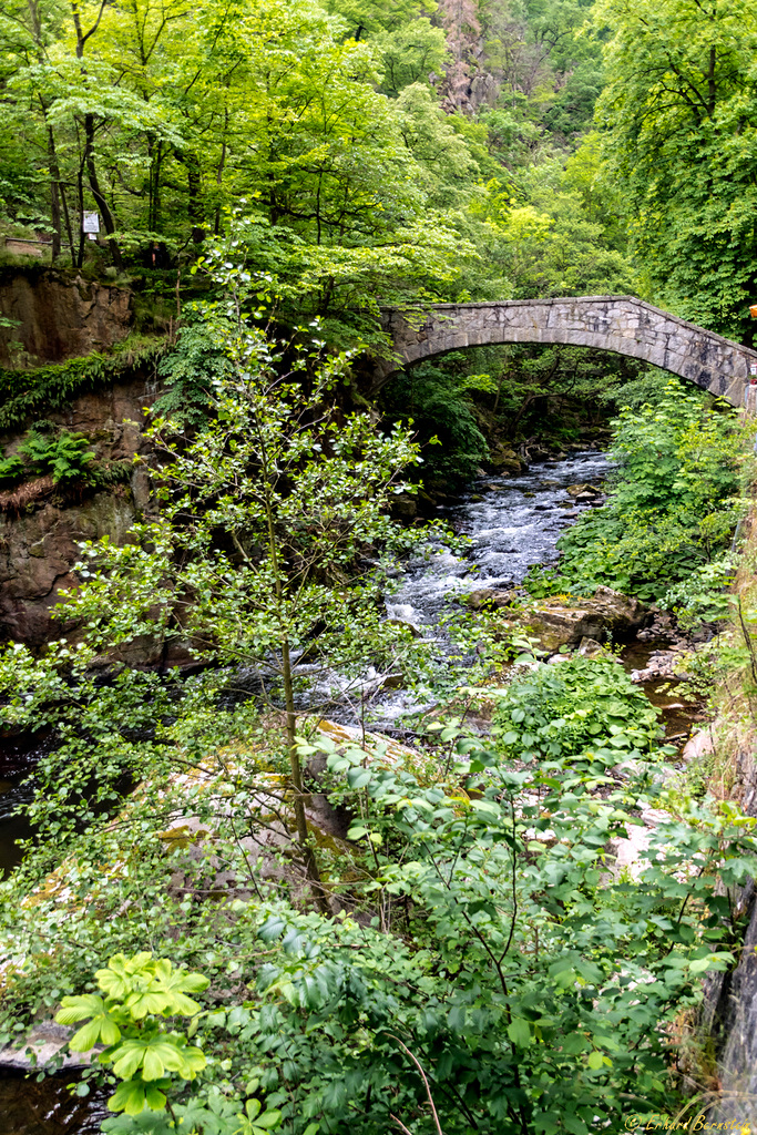 Die Jungfernbrücke im Bodetal