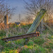 Morning Light   /   Feb 2022