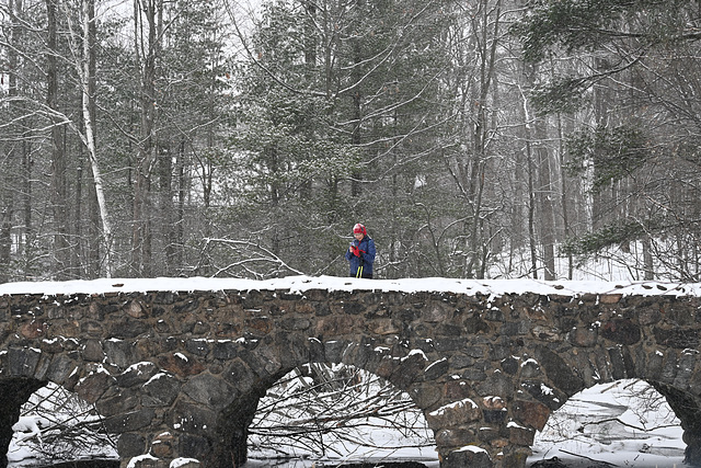 Bridge in snow_IMG 2025-01-12