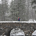 Bridge in snow_IMG 2025-01-12