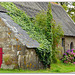 The red door, Cosquer