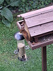oaw[rsq] - visit A : 13 August 2026 { 4 of 4}