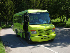 DSCN1700 Liechtenstein Bus Anstalt FL 7760 (operated by Philipp Schädler)