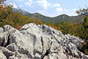 Nationalpark Paklenica - Karst am Wegesrand (1)