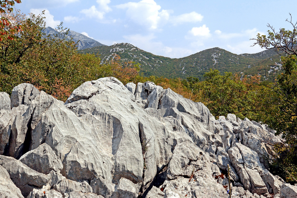 Nationalpark Paklenica - Karst am Wegesrand (1)