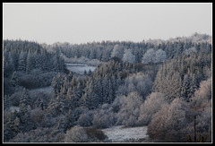 hiver 2016- givre