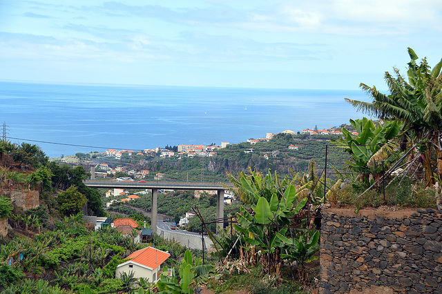 Unterwegs auf der Levada do Calvo in Funchal