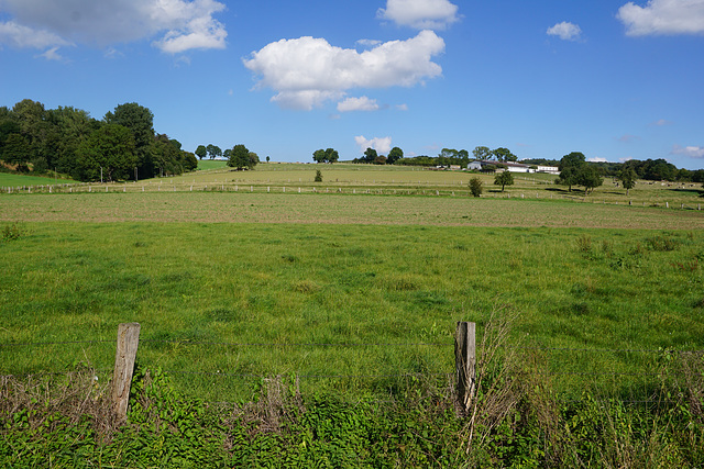 Blick Richtung Freilichtbühne