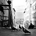 Tauben füttern in Lyon. HFF