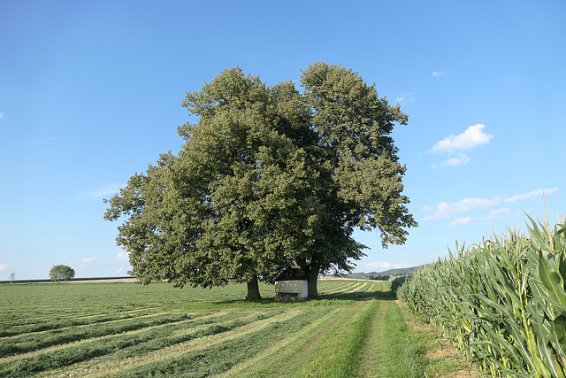 Obertresenfeld, "Schraml-Kapelle" (PiP)