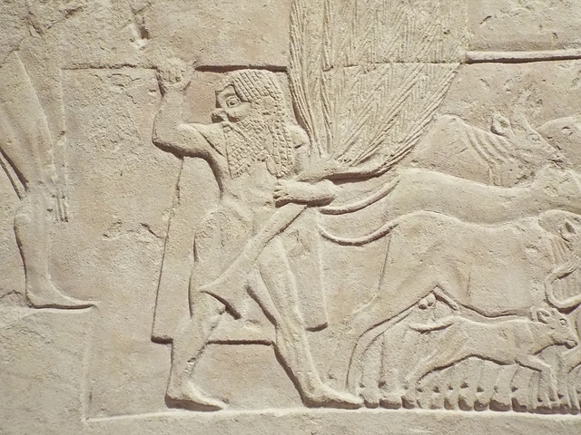 Detail of a Cypriot Limestone Relief in the Metropolitan Museum of Art, January 2023