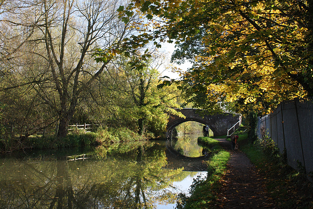 Walking the Oxford Canal