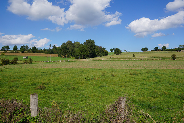 Blick Richtung Freilichtbühne II