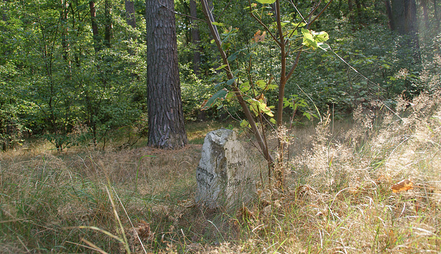 Grenzstein zwischen Siethen und Grossbeuten