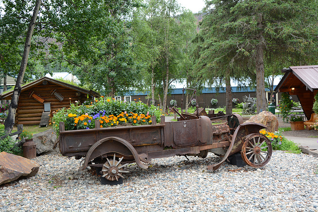 Alaska, Flowers in the back of an Old Truck at Chena Hot Springs Park