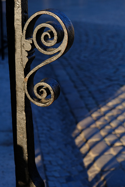 Blauzaun