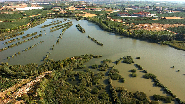 Humedal de Laguardia. Laguna