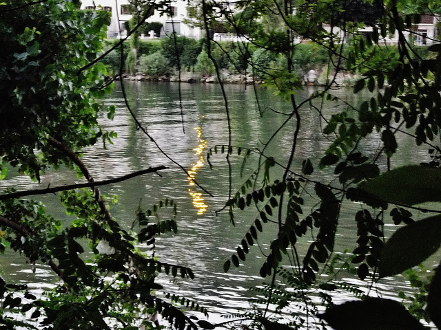 Reflet doré sur la Seine