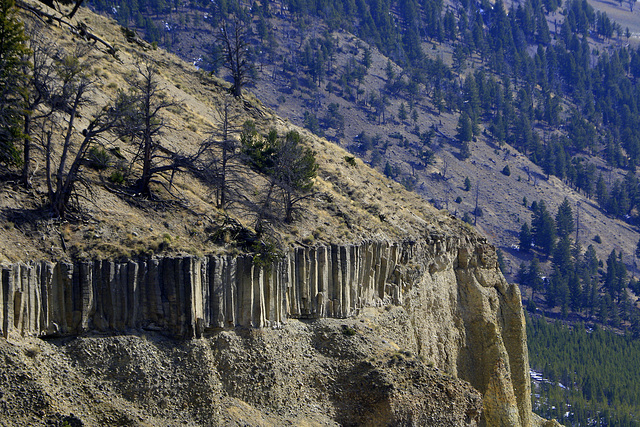 Basalt Columns