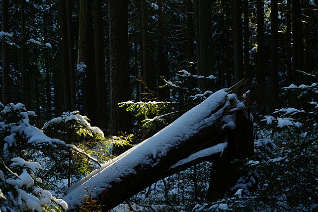 Leise glänzet der Schnee....