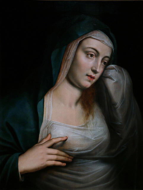 La Madeleine en pleurs - Huile sur bois de Otto Van Veen - Musée d'Orléans . La Madeleine en pleurs - Huile sur bois de Otto Van Veen - Musée d'Orléans .