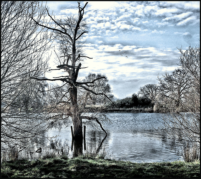 Winterwasser Winterwasser