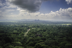 View from the Lion Rock