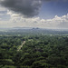 View from the Lion Rock